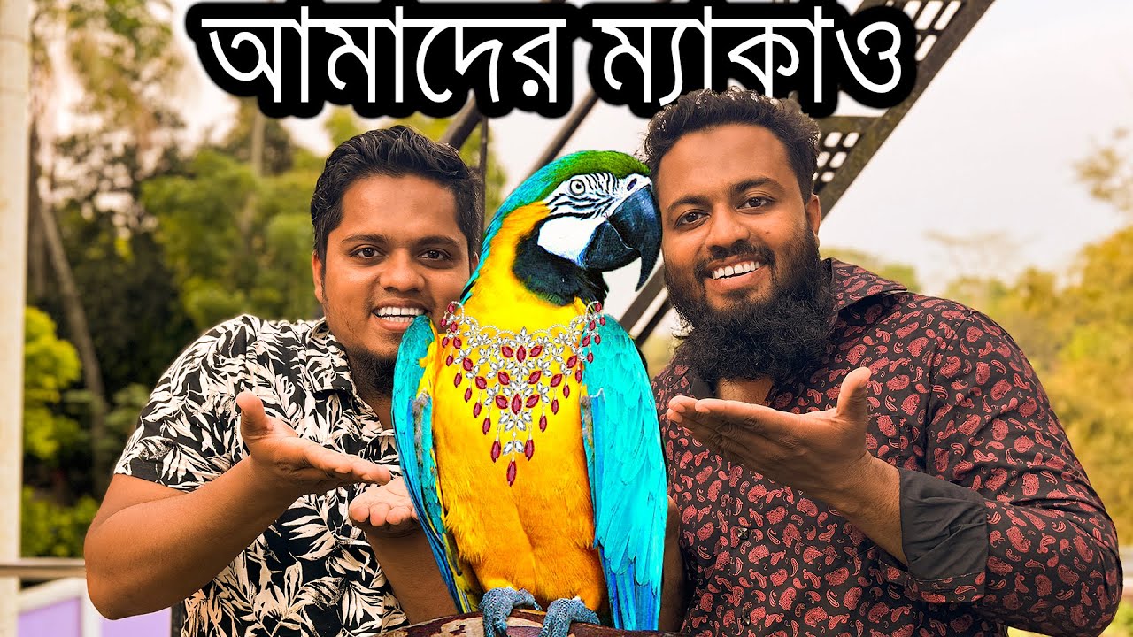 নতুন সদস্য : ম্যাকাও | MACAW নিতে বাধা দিল বসুন্ধরা শপিং কমপ্লেক্সে এবং পরলাম বিপাকে