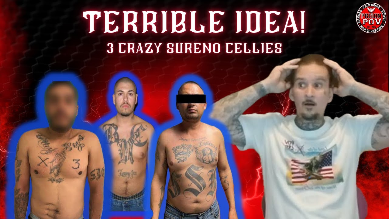 Sureno Cellies-That Was a TERRIBLE Idea! You Won't Believe What Happened!