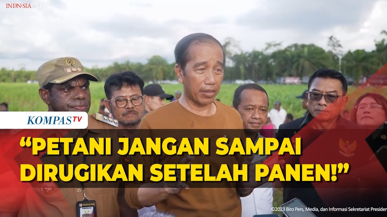 Tegas! Jokowi Ingatkan Bupati dan Mentan, Petani di Papua Jangan Merugi Pasca Panen