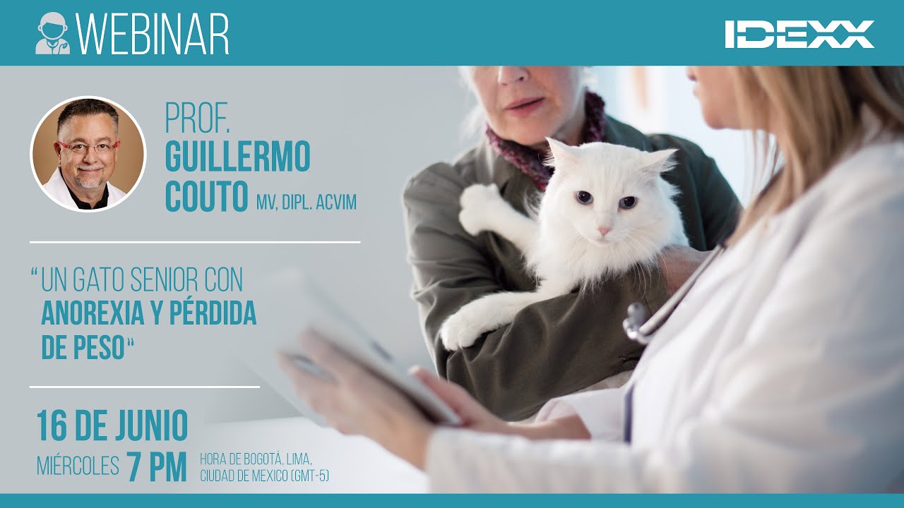 [IDEXX Webinar]  “UN GATO SENIOR CON ANOREXIA Y PÉRDIDA DE PESO”