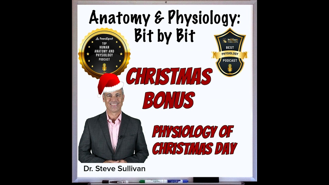 Christmas Bonus - The Physiology of Christmas Day!