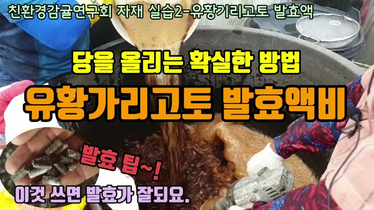 유황가리고토 발효액비 만들기 후반기 과일 당 올리는 최고의 방법은? 액비 발효꿀팁 발효기간과 사용배수 서친연 자재 만들기 실습2 발효액비발효팁 황산가리액비 유황가리액비