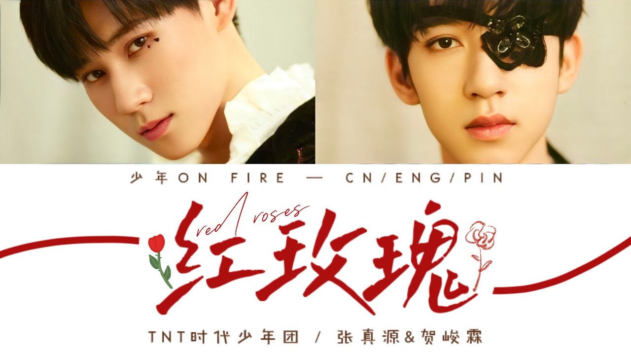 TNT时代少年团 －《红玫瑰(Live)》认人歌词版 CN/PIN/ENG 张真源/贺峻霖 — 少年ON FIRE