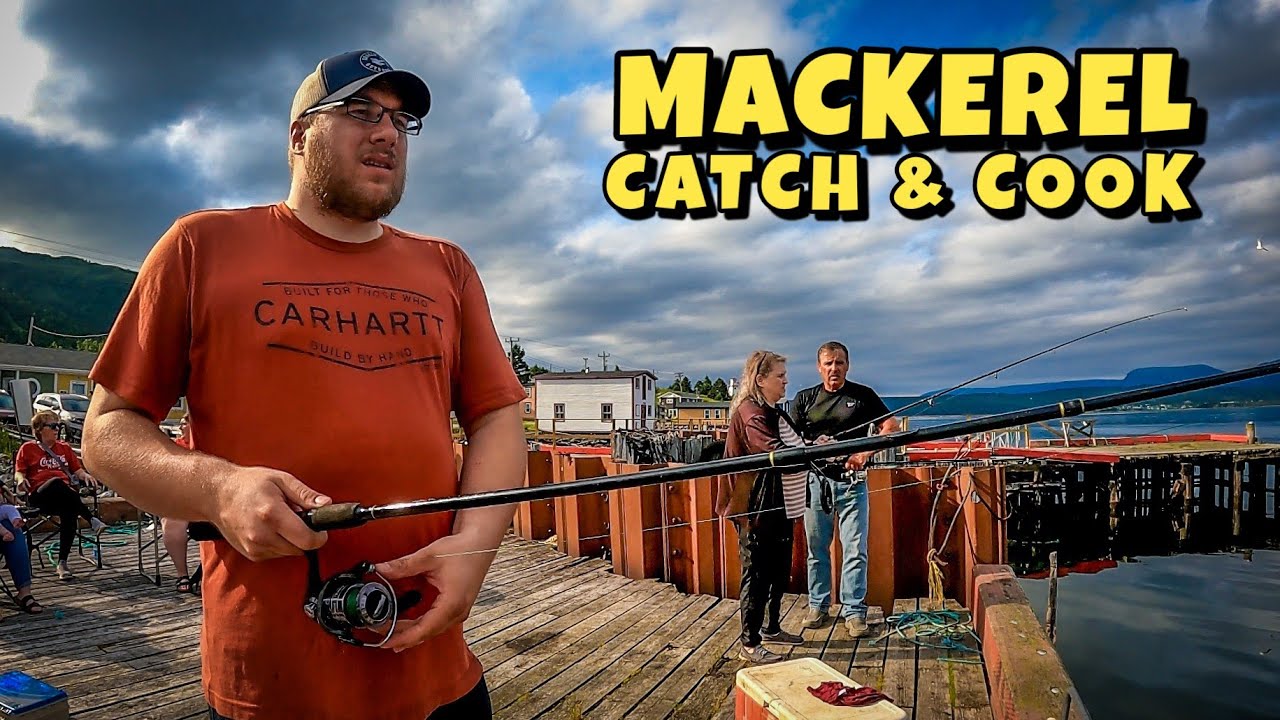 Fishing for Tasty Mackerel in Newfoundland! + Exploring Beautiful Coastal Town!