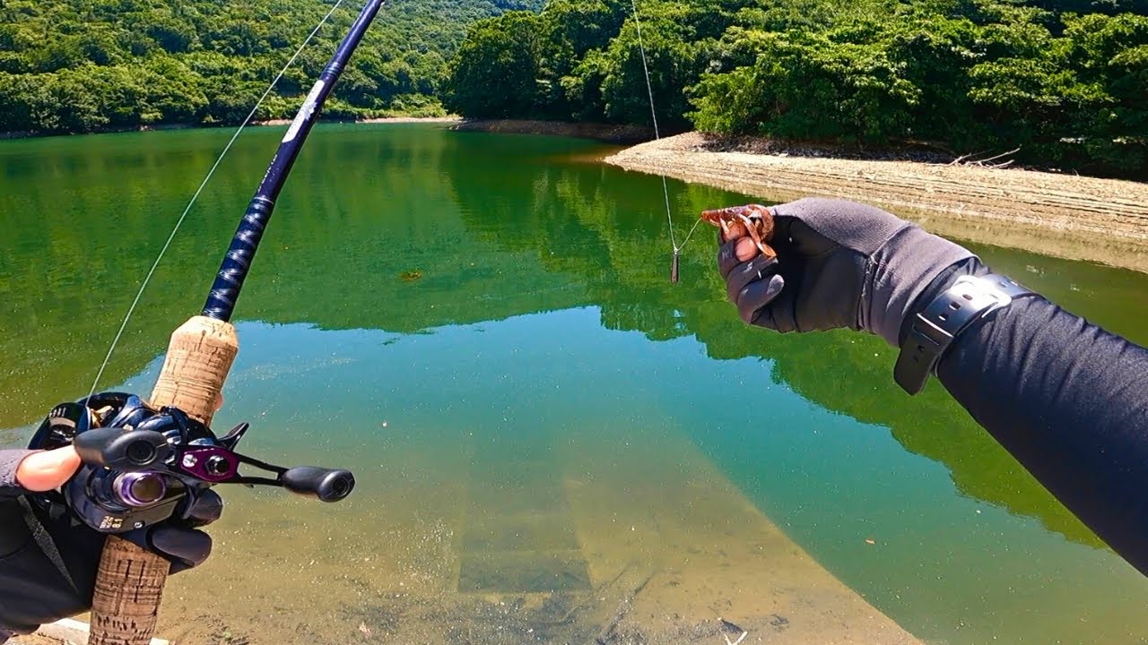 フリーリグでバスを釣る方法、実釣しながら解説します
