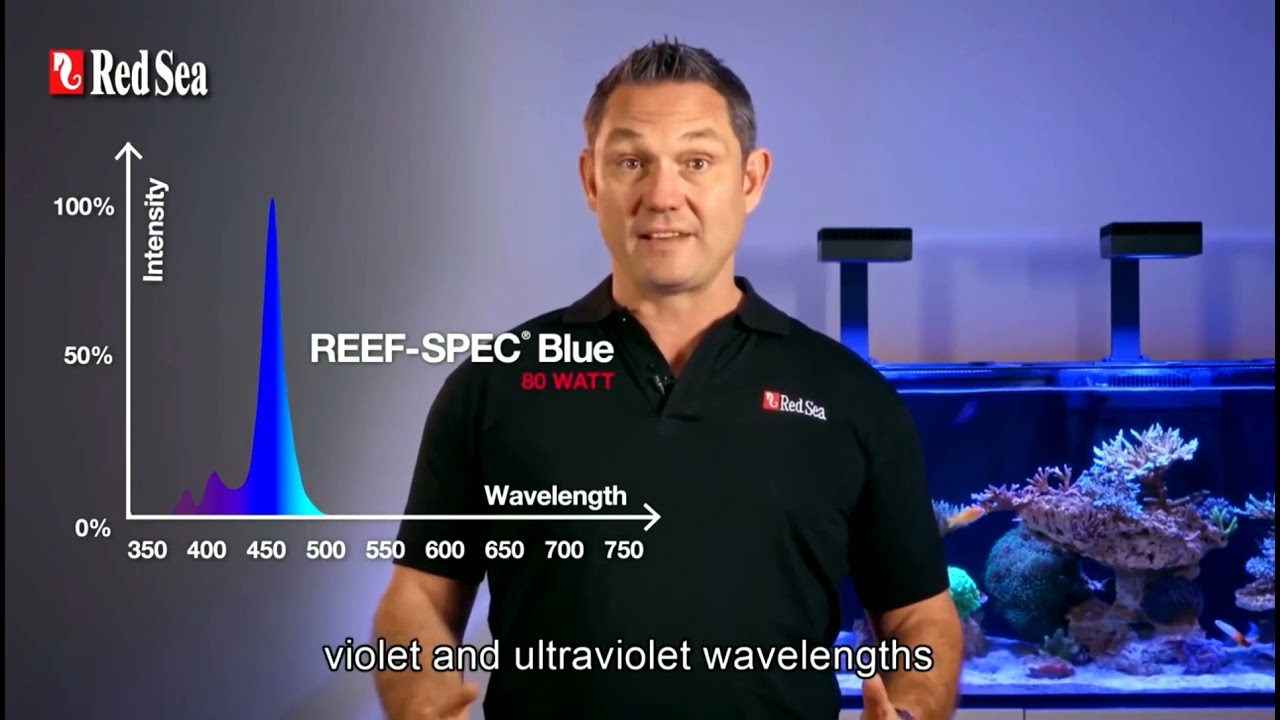 Iluminador Para Acuario Marino Red Sea Reef Led 90 - Audio en Español ¡Disponible en Argentina!