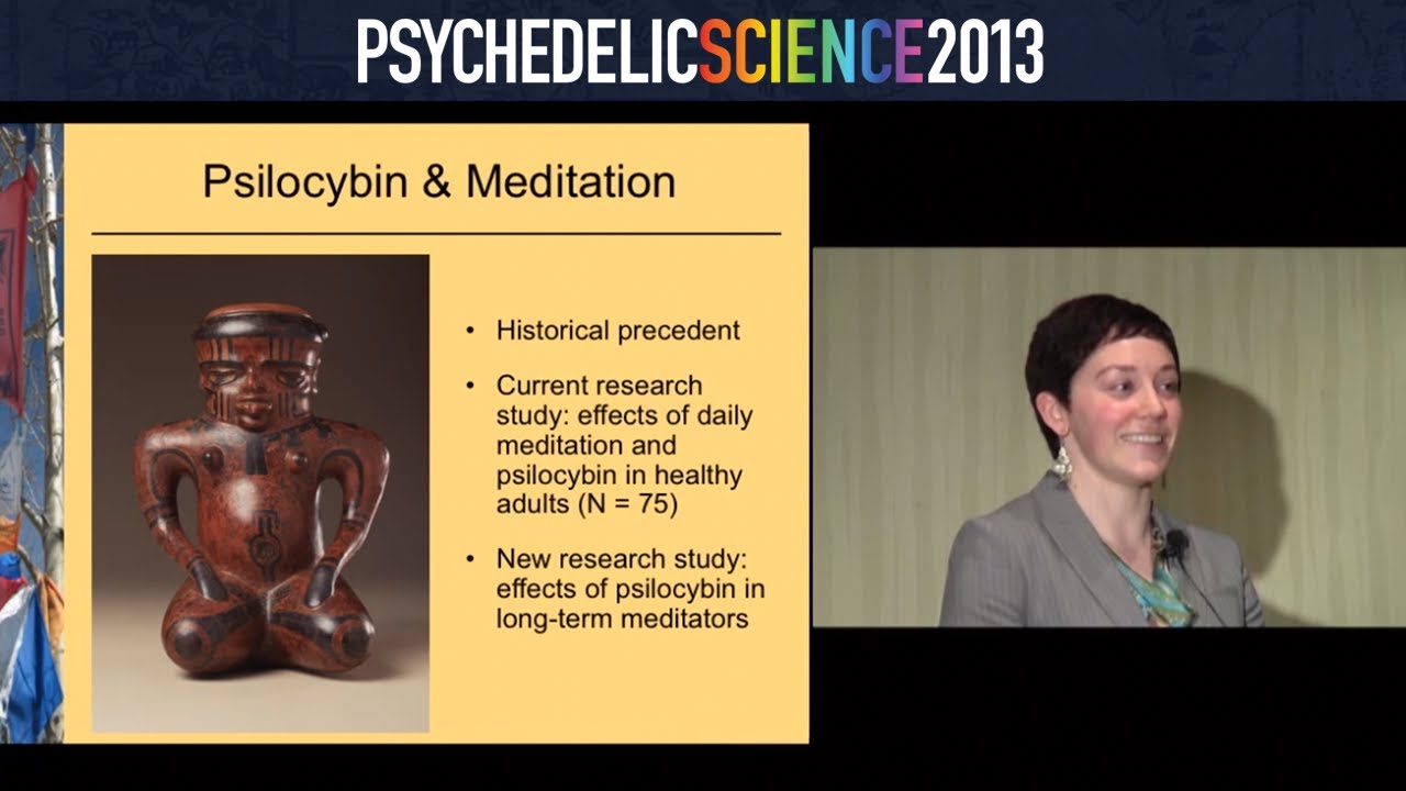 What Can Buddhist Meditation Teach Us About Psychedelic Science? - Katherine MacLean