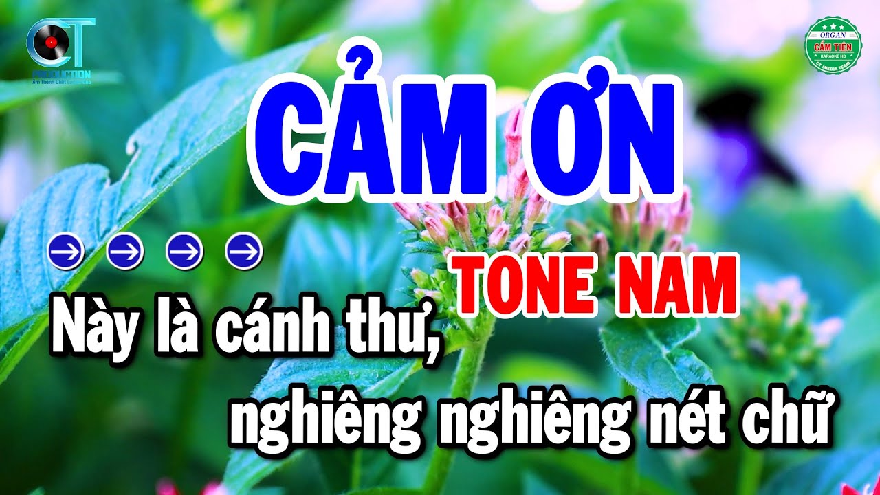 Karaoke Cảm Ơn Tone Nam Nhạc Sống Beat Chuẩn Nhất 2026 | Cẩm Tiên Organ