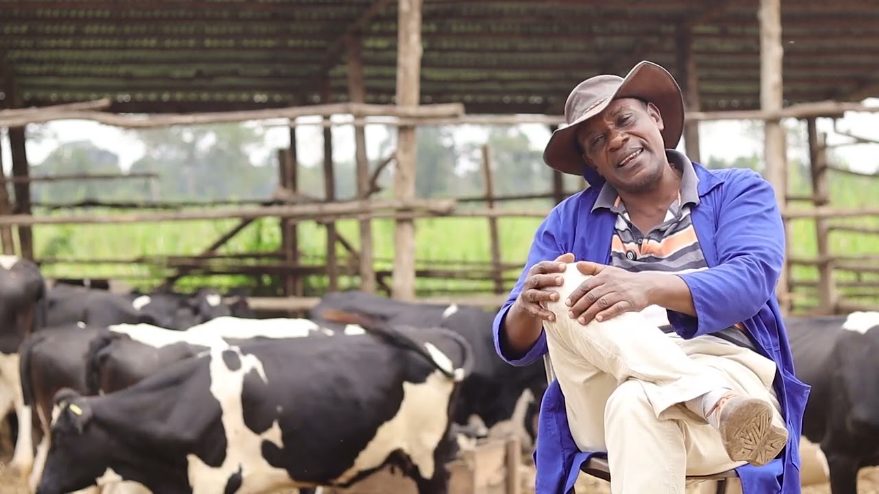 ORGANIC Farming: find the appropriate Farming technology that suits you.