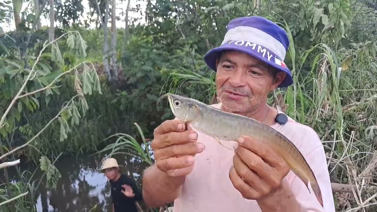 ACHAMOS UM IGARAPE CHEIO DE PEIXE DO LADO DE CASA MANACAPURU AM