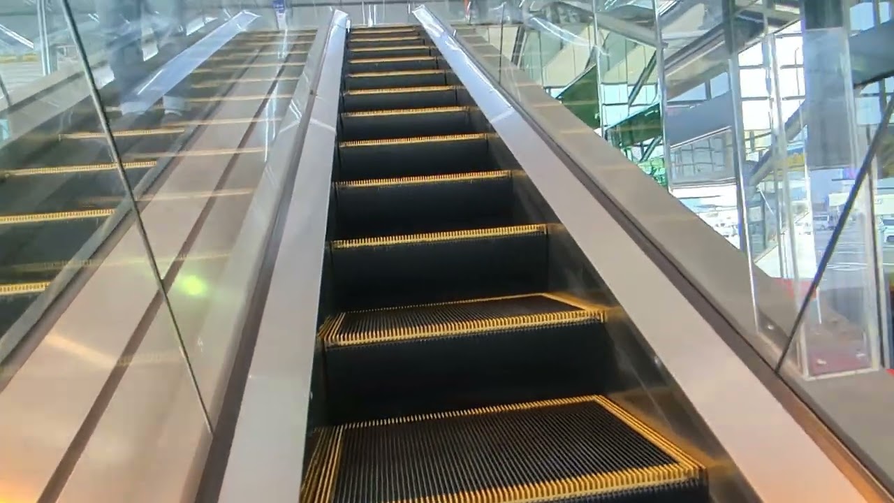 ヤマダデンキ テックランド五所川原エルム店　エスカレーター
