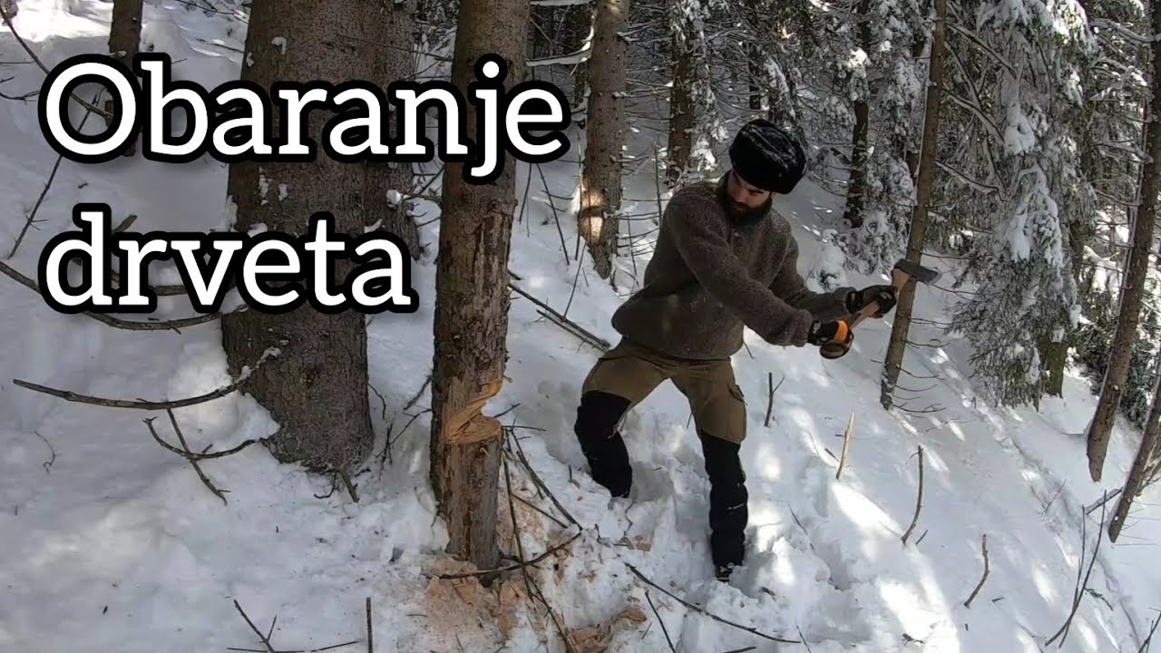 Priprema drva za ogrev na zimskom kampovanju - obaranje i cepanje drveta