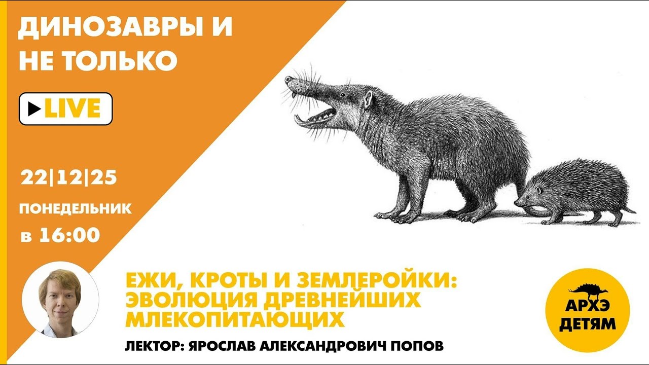Занятие 