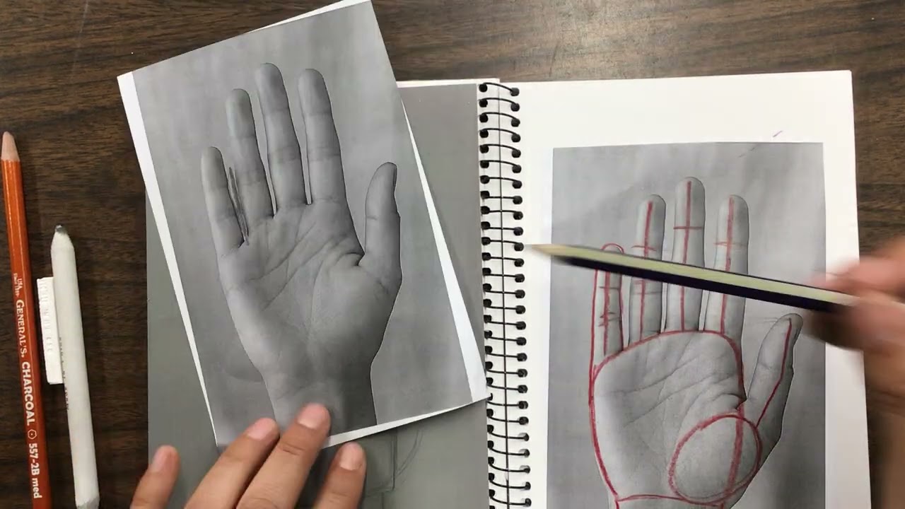Drawing a Hand Part 1