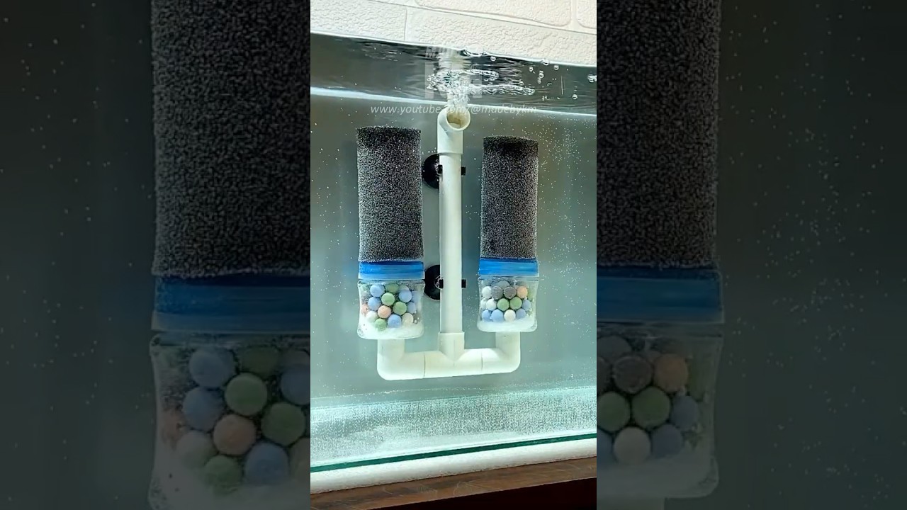 DIY Aquarium Double Sponge Filter That Works!