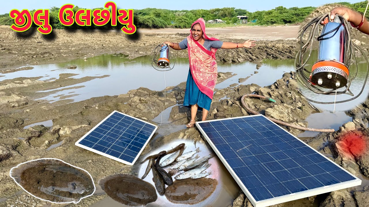 તારીયા જીલુ ઉલછવા ગયા 🌊 Jila  ma thi fish pakadi 🐟 dariyai khedut
