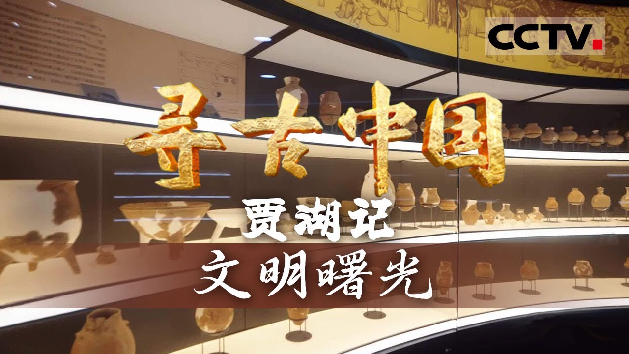 《寻古中国》文明曙光：贾湖骨笛复现八千年前的远古乐音 中国文字起源藏在龟甲符号里&mdash;&mdash; 贾湖记【CCTV纪录】