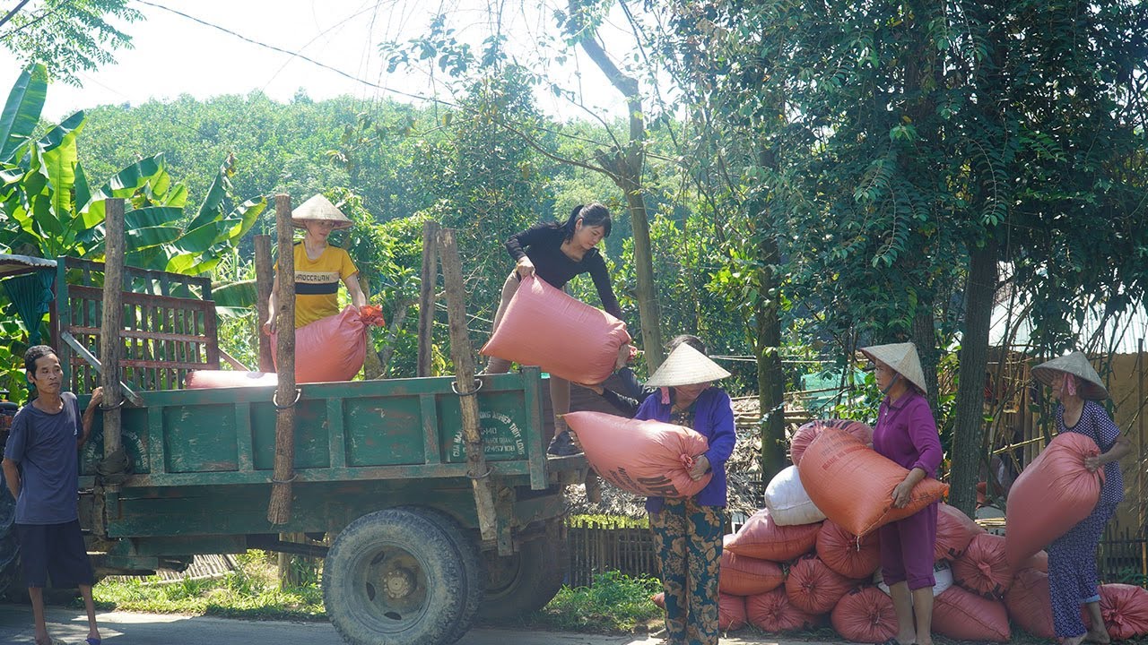 Single mother uses truck to transport rice husks to help villagers - Girl Genius