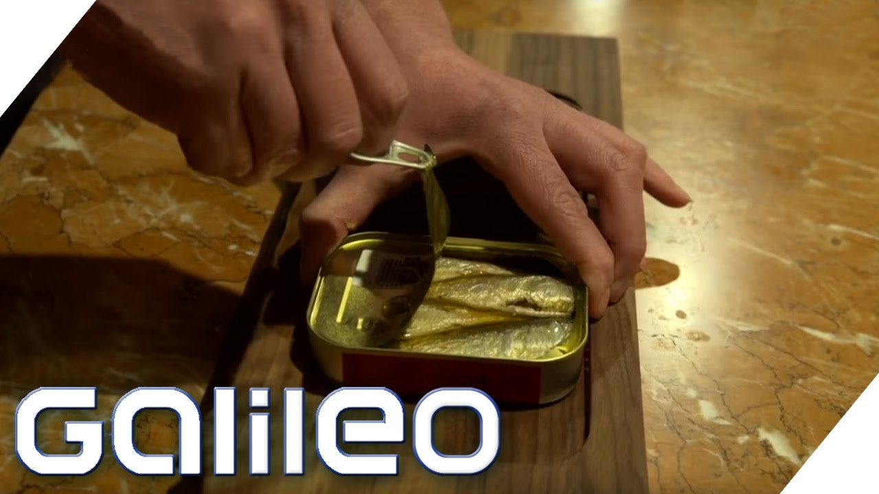 Die Sardinen-Bar | Galileo | ProSieben