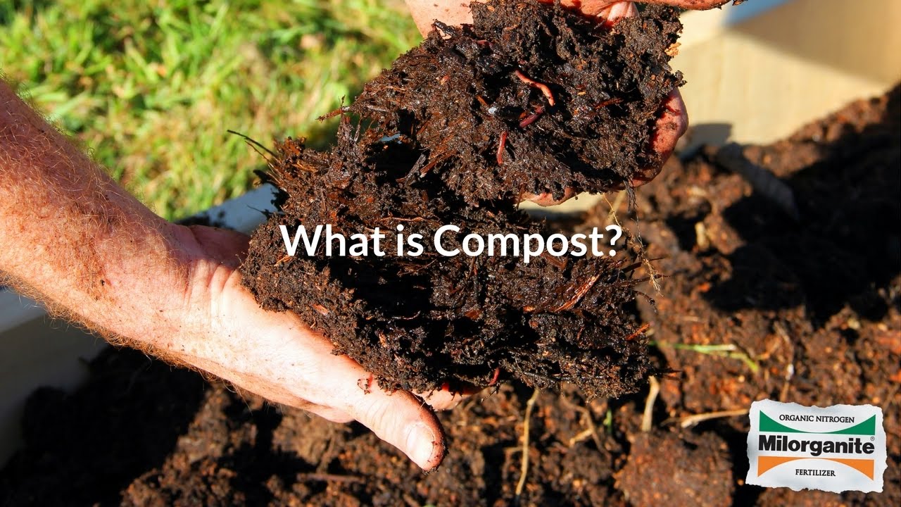 What is Compost?