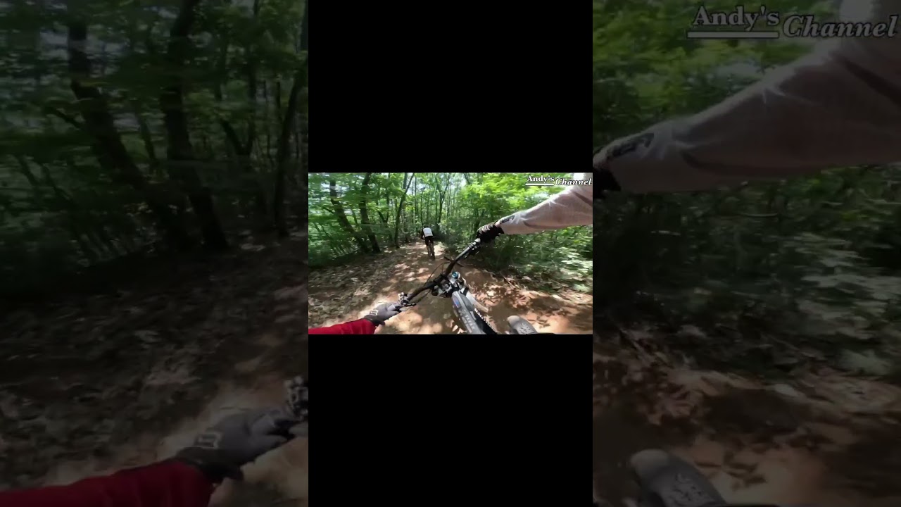 Cuttie Points in the NoNo trail! #백봉산 #mtb