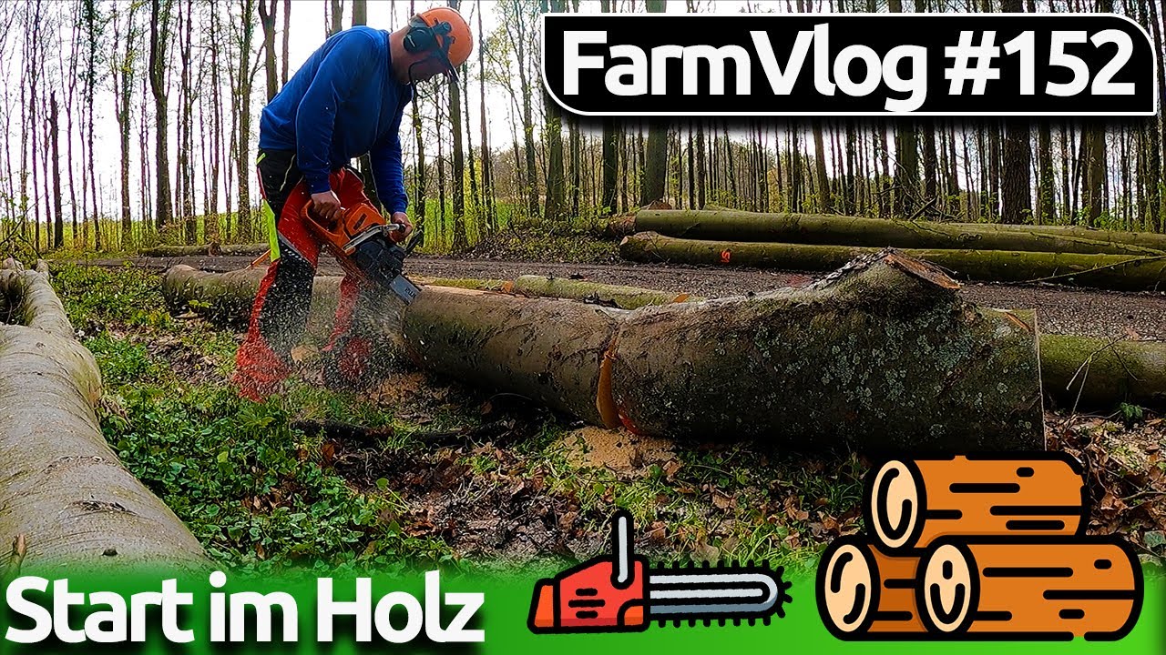 Vlog #152 Start im Holz