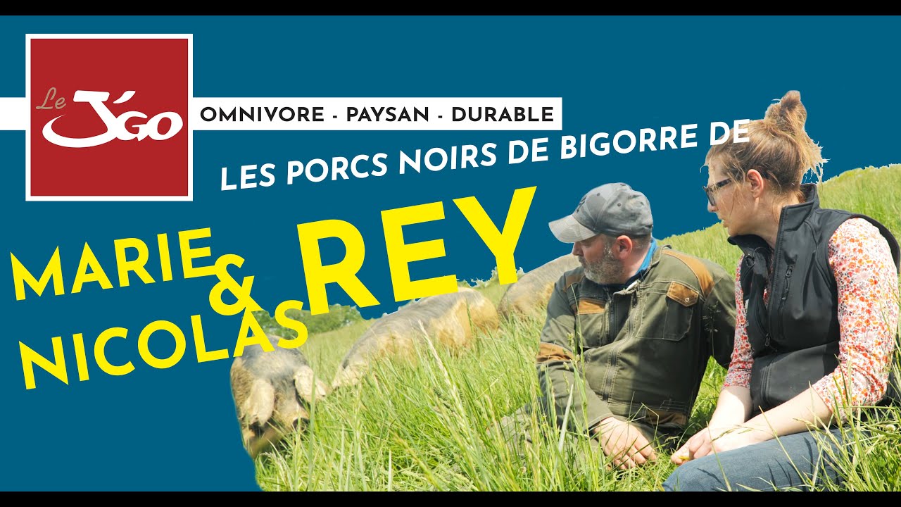 Les porcs Noirs de Bigorre de Marie & Nicolas Rey - Le J'Go