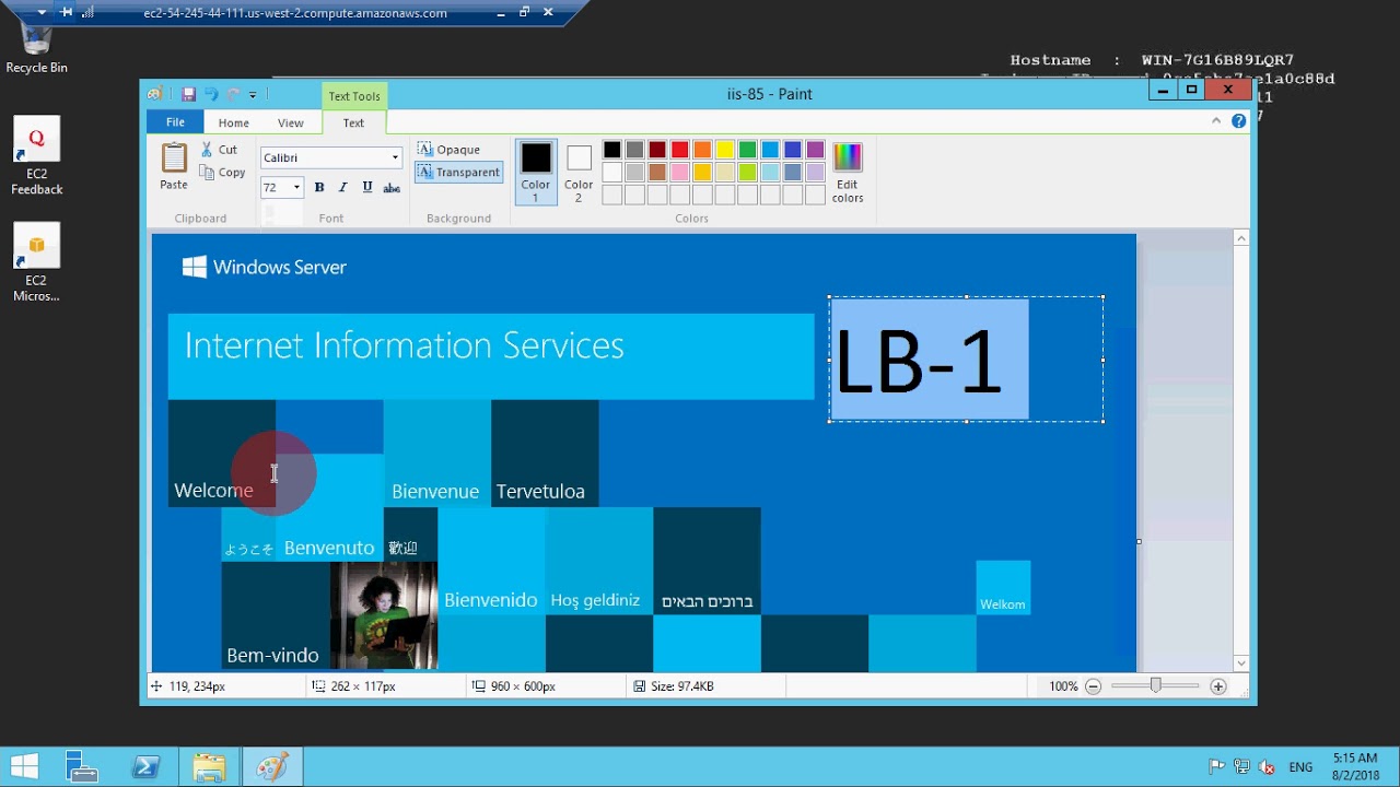 How to Configure Classic Load Balancer on AWS using Windows Instance & IIS Role - My Cloud Garage