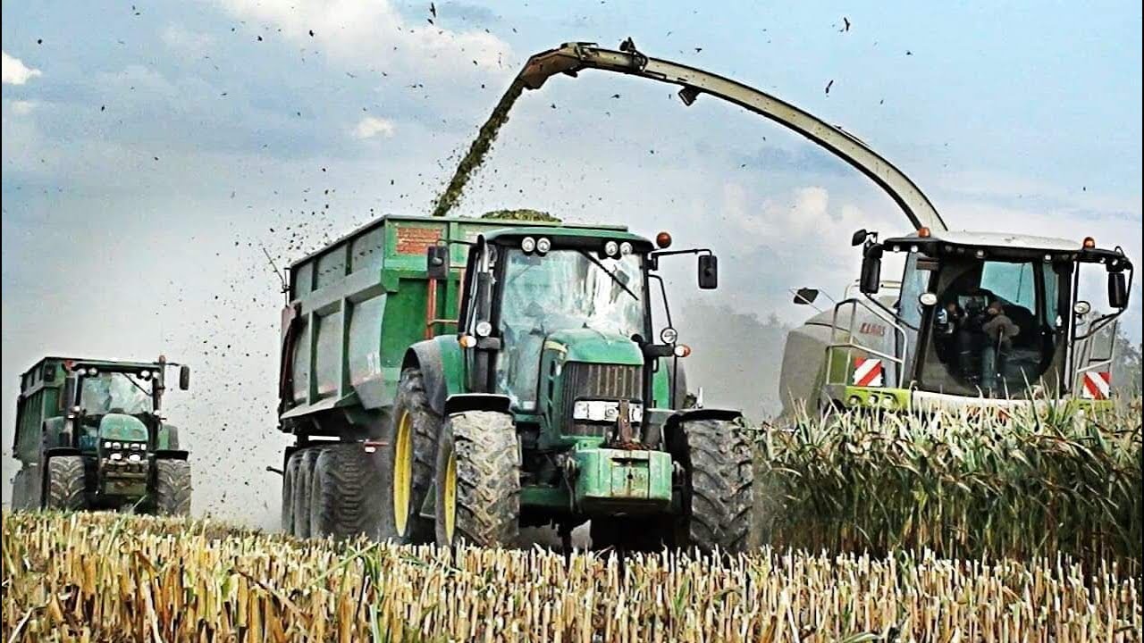 Kukurydza Na Pustyni | 2 Fadromy 70 Ton W Akcji | Koszenie QQ 2019 W OHZ Garzyn Nową Sieczkarnią?!