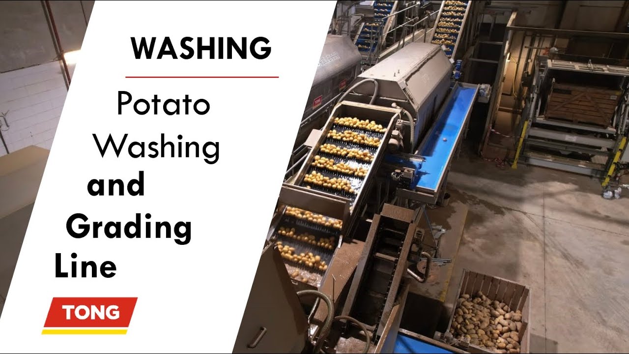 Advanced Potato Washing & Grading from Tong