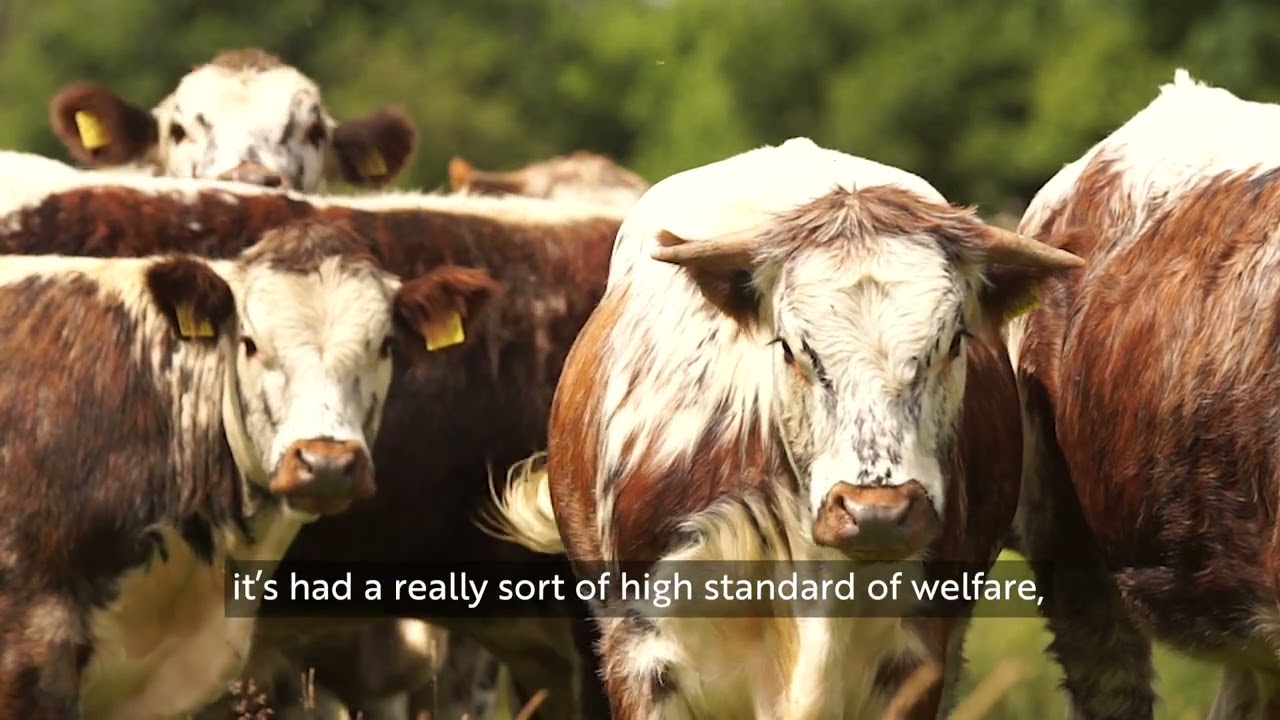 Bubnell Cliff Farm case study (August 2024) - Peak District National Park