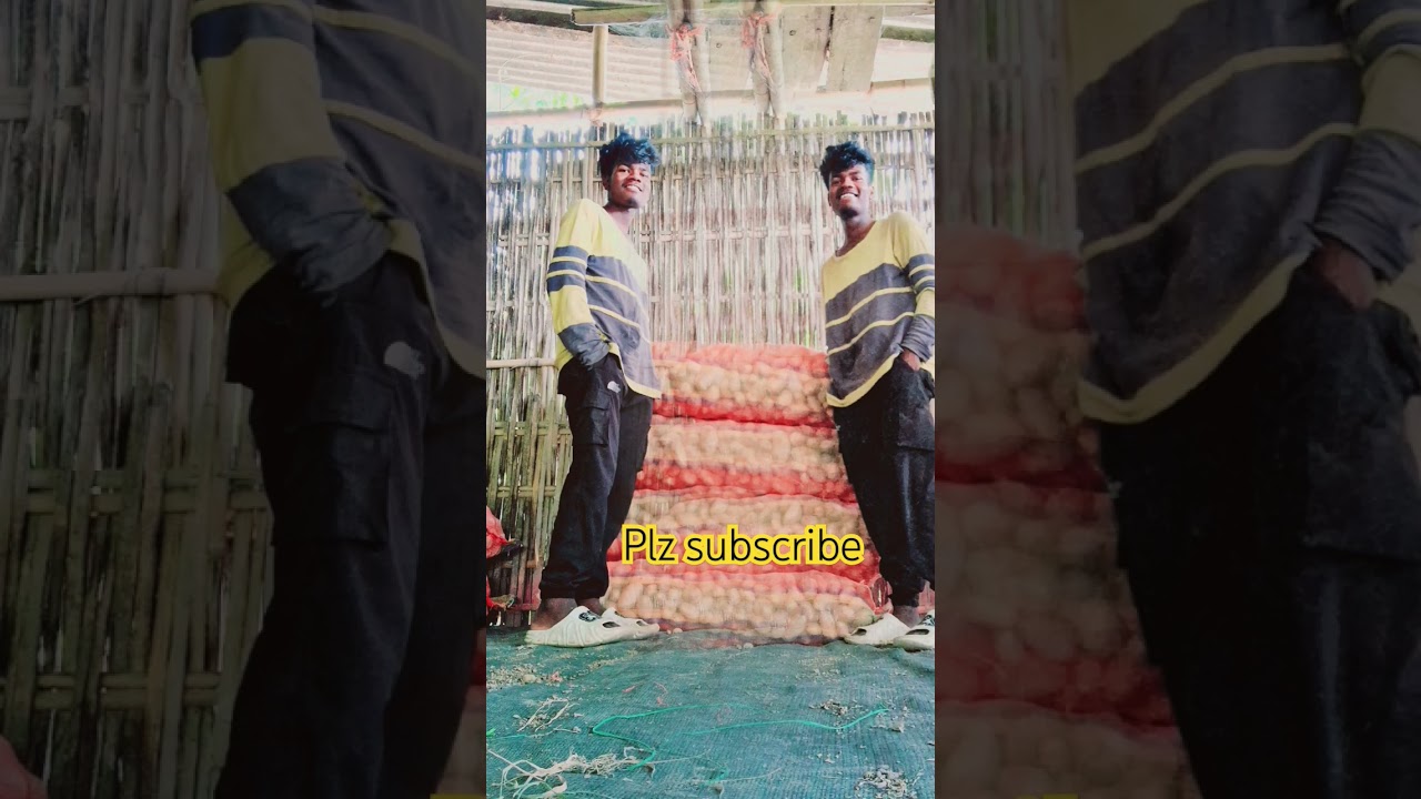 Ikrar Ho Na Jaye #love #song #hindisong #music #shortvideos #lovesong #viralvideo2024 #shortsvidio