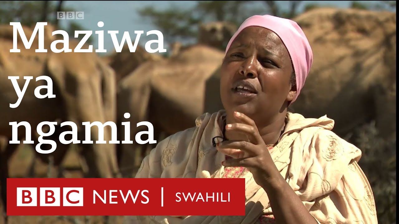 Thamani ya sekta ya maziwa ya ngamia nchini Kenya