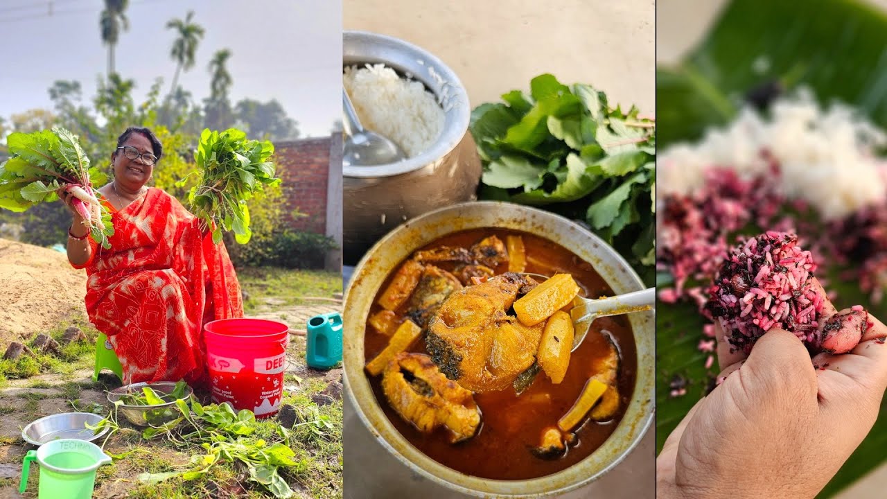 ক্ষেতের শাক তুলে মা রান্না করলো লাল শাক ভাজা আর পালং মুরগি🥬🍗মূলো দিয়ে হলো জ্যান্ত শোল মাছ