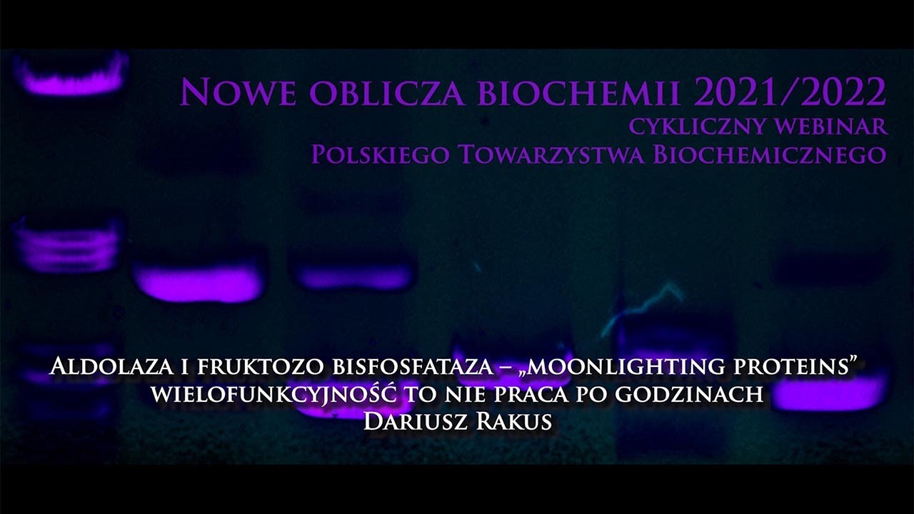 Aldolaza i fruktozo bisfosfataza &ndash; &bdquo;moonlighting proteins&rdquo; - prof. Dariusz Rakus