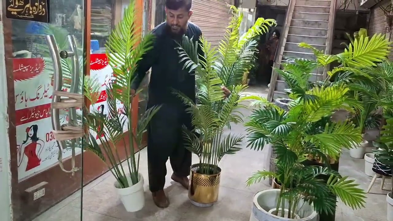 Aesthetic Planters & Greenery Collection 🌱 | GM Crockery Lahore | 0301-9732177