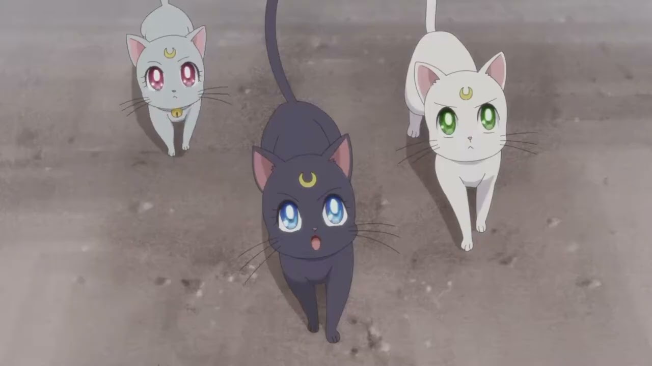 [MAD/AMV]Pretty Guardian Sailor Moon Eternal The Movie-Hotaru No Hikari(Ikimonogakari)