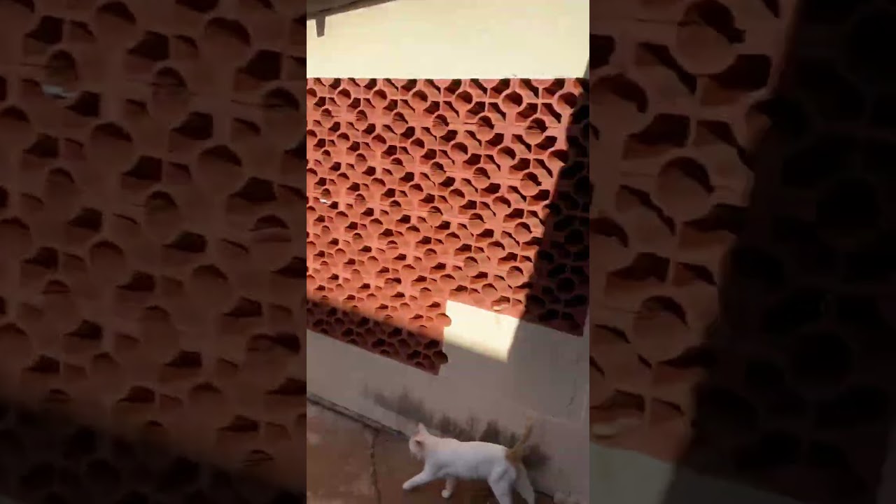 Esta e a minha casa nova!!