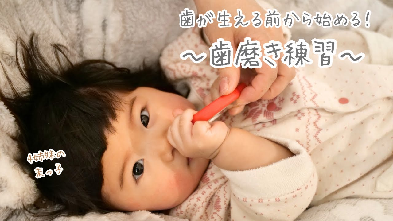 【生後6ヶ月】【歯磨き練習】歯が生える前から始める歯磨き練習！