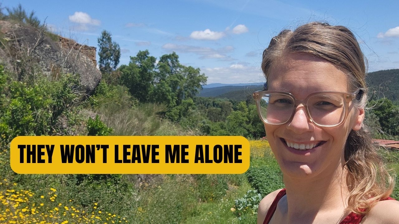 What They Don’t Tell You About Living in the Portuguese Countryside