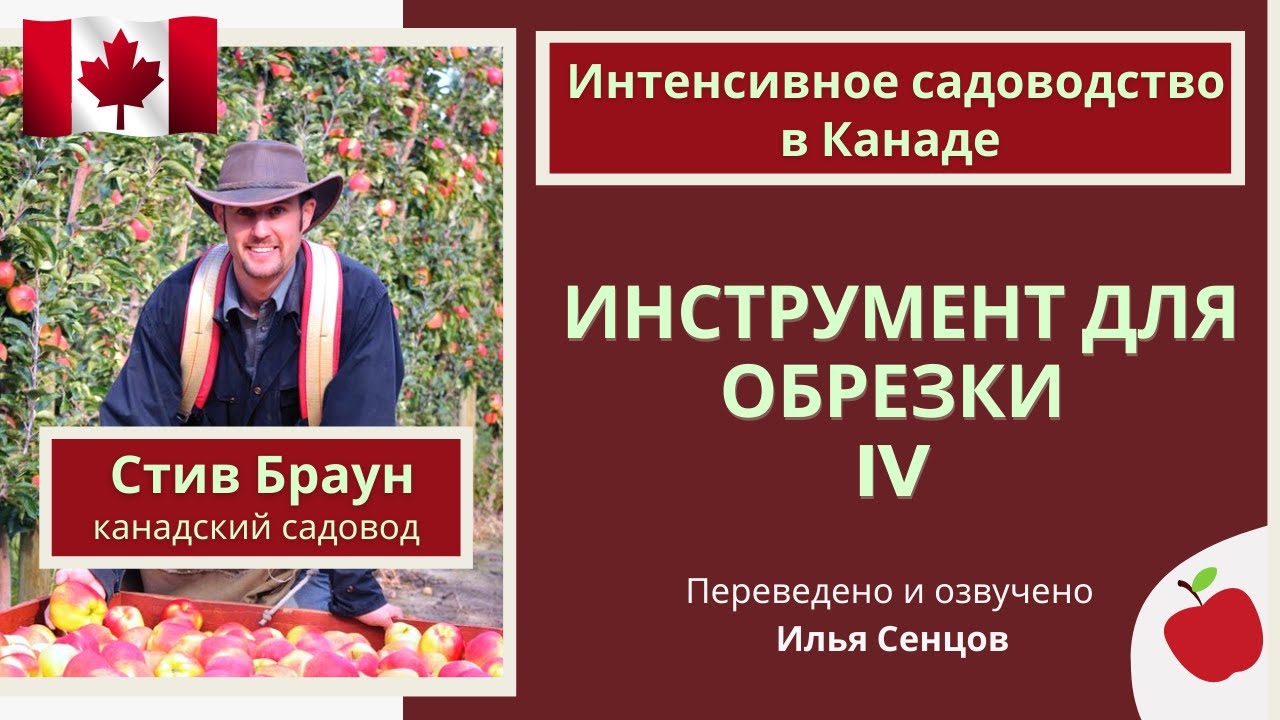 Какой инструмент выбрать для обрезки интенсивного сада?