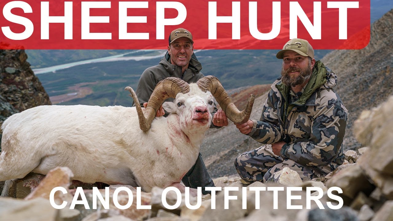 Witness the Epic Dall's Sheep Hunting of Canol Outfitters--Part 2!! I Greg McHale's Wild Yukon