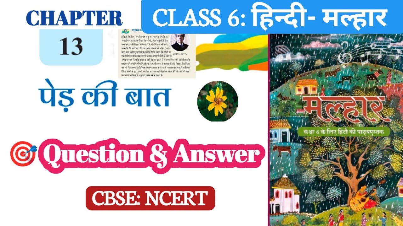 Class 6 Hindi Chap: 13 Ped Ki Baat | पेड़ की बात NCERT CBSE  | Question Answer | Malhar@JyotirvaEdu 