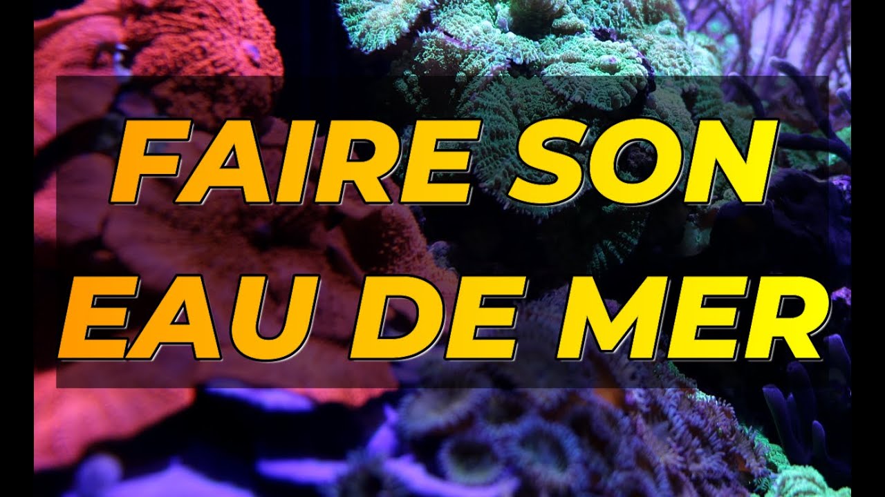 Comment préparer son eau de mer aquarium récifal - changement d'eau - test densimètre
