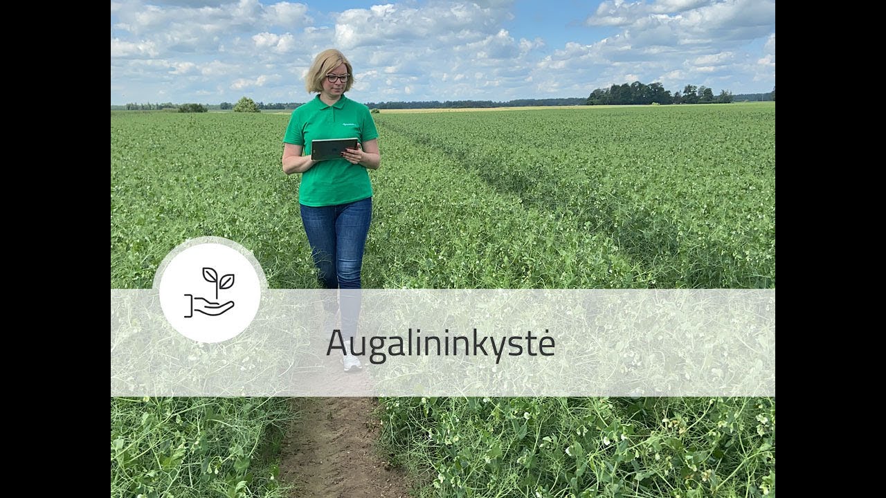 IKMIS 2020. Pasėlių stebėjimas &ndash; situacija Biržų rajone
