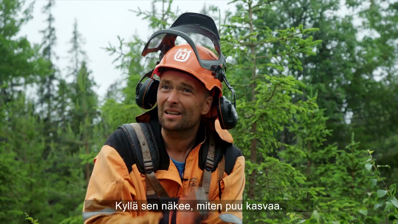 Metsätyö on toinen luontoni osa2: Taimikonhoito