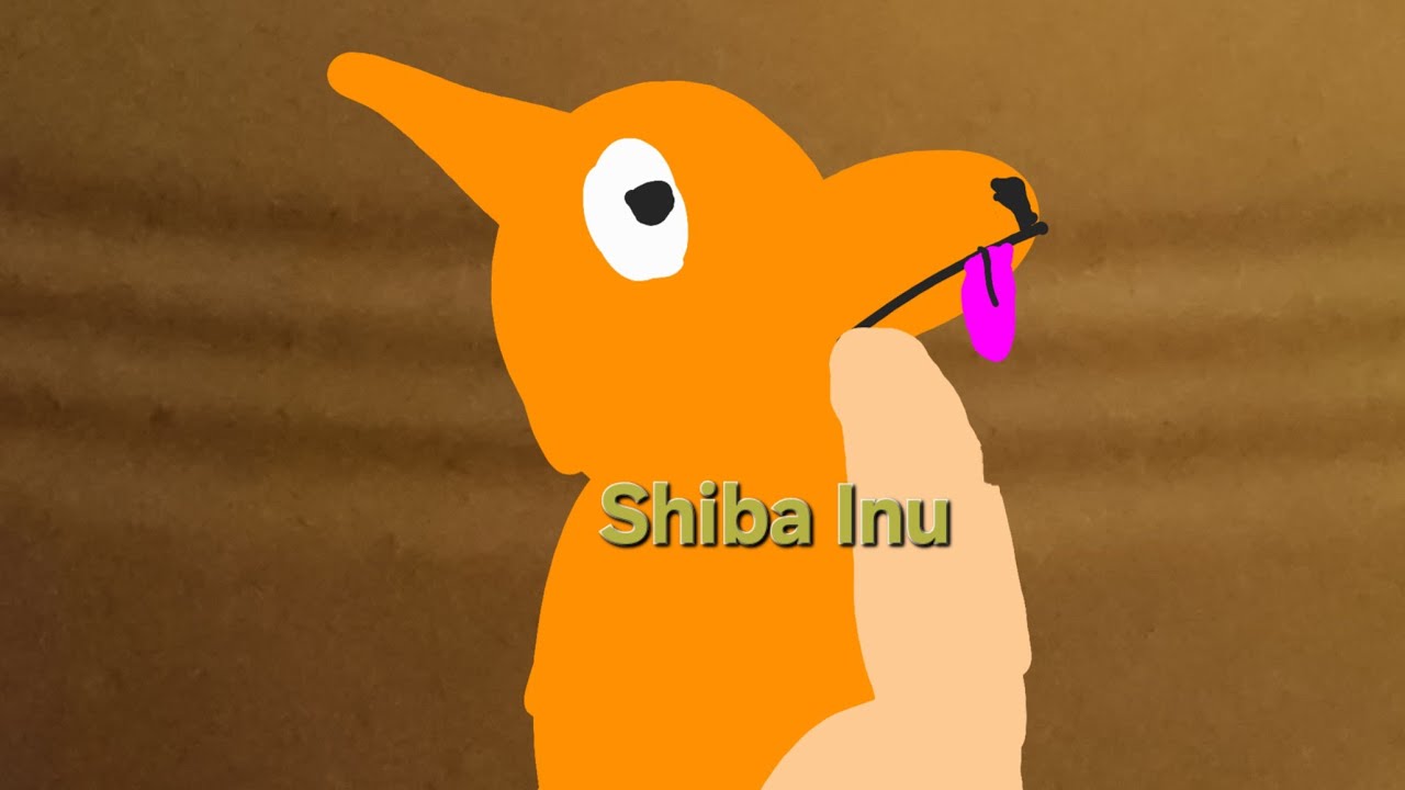 Shiba Inu's being cool for 3 minutes and 53 seconds 🐕 