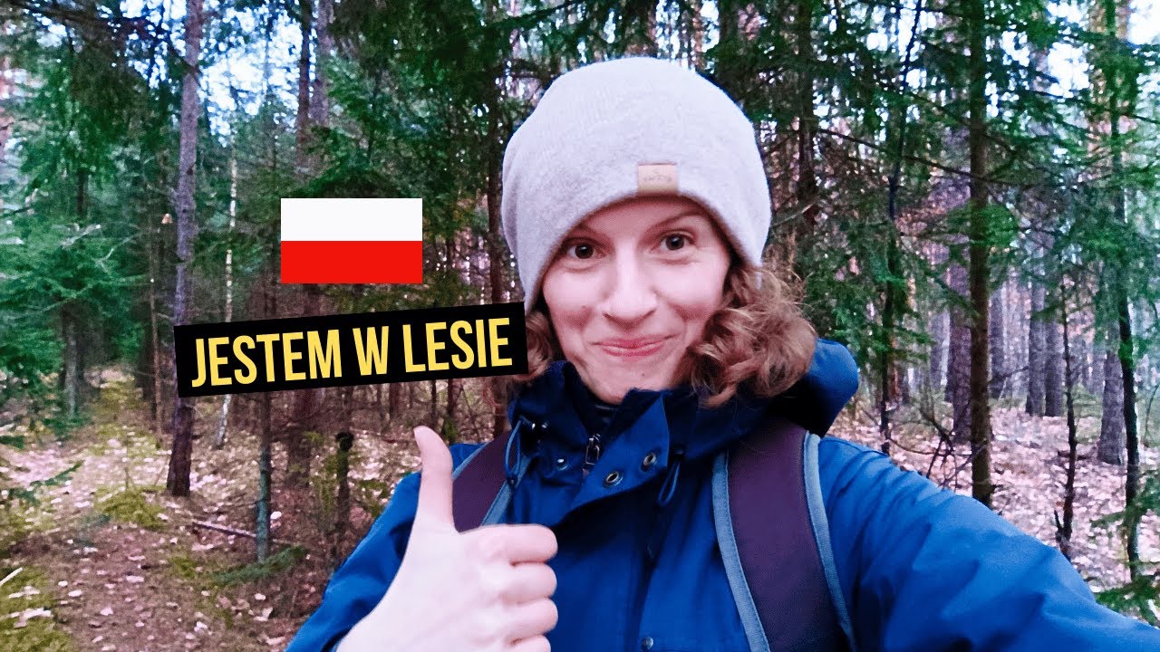 Walking through the Polish Forest I Learn Polish Naturally 🇵🇱