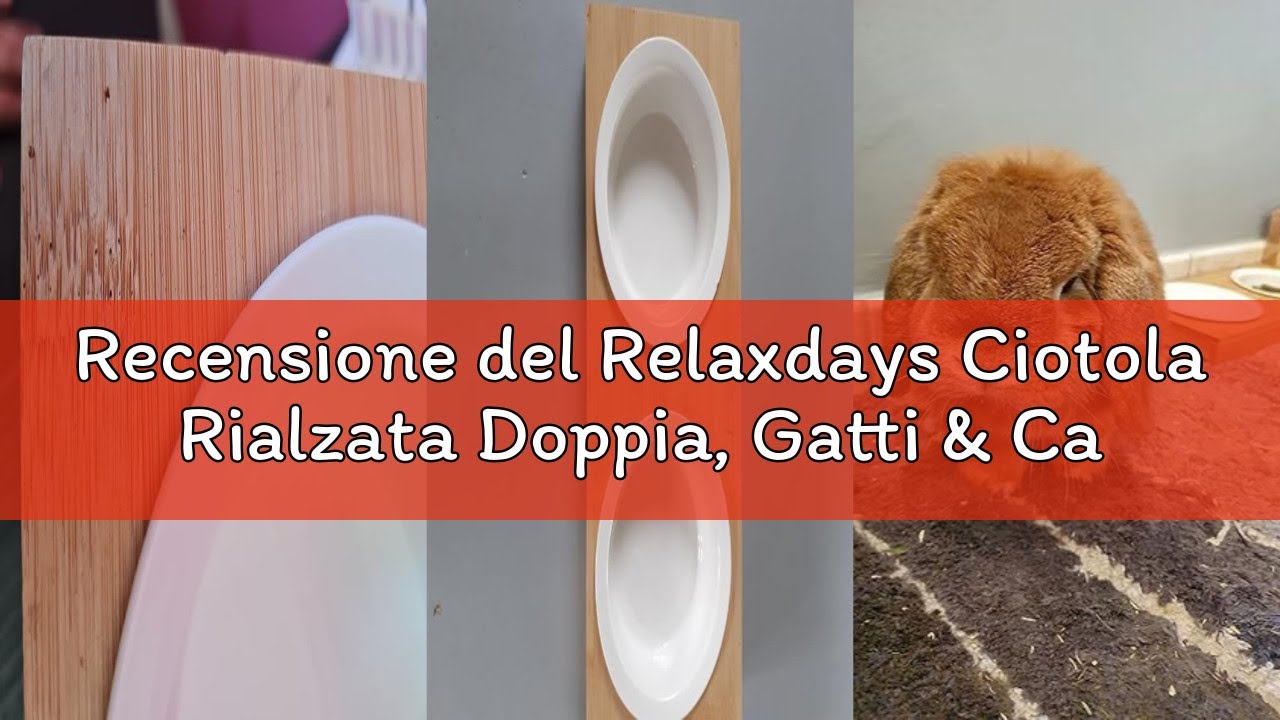 Recensione del Relaxdays Ciotola Rialzata Doppia, Gatti & Cani Piccoli, 2x Ciotole Ceramica, og. 200