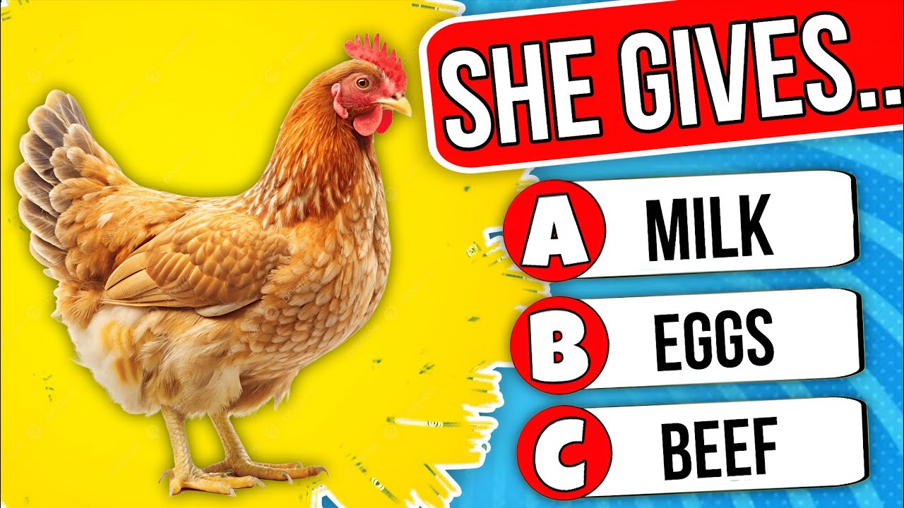 “General Knowledge Quiz For Kids 🧠 | Fun & Easy GK Questions 2026”